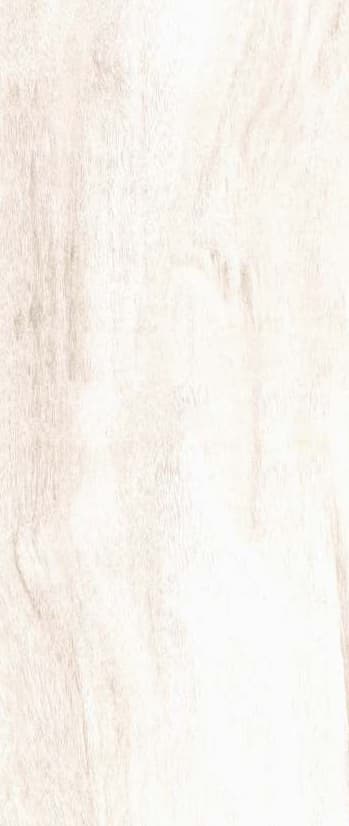 European Walnut Light